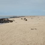 WalvisBay-50