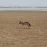 WalvisBay-52