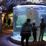 Aquarium-14
