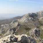 TuloveGrede-24