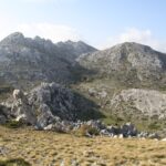 TuloveGrede-50