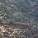 Plitvice-05