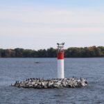 1000-IslandsNP-30