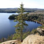 Algonquin-21