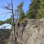 Algonquin-29