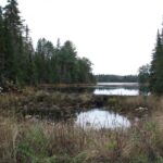 Algonquin-52
