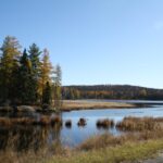 Bancroft-20