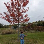 Gananoque-12