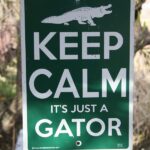 GatorCountry-06