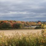 Presquil-01