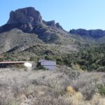 Big-BendB-06