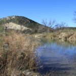 TX-Pecos-08