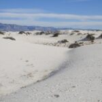 WhiteSandsNP-18