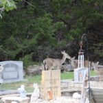Wimberly-27