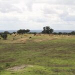 Alentejo-47