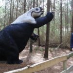 Dino-Park-10