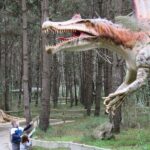 Dino-Park-20