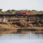 Tavira-18