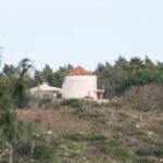 Windmühle-14