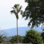 CR-Alajuela-13