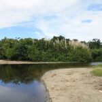 CR-Cahuita-45
