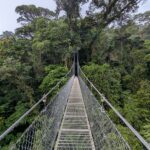 CR-HBridges-10