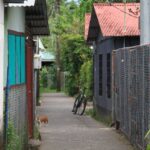 CR-Tortuguero-13