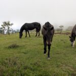 Turrialba-34