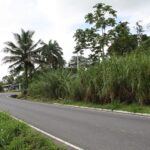 Turrialba-42
